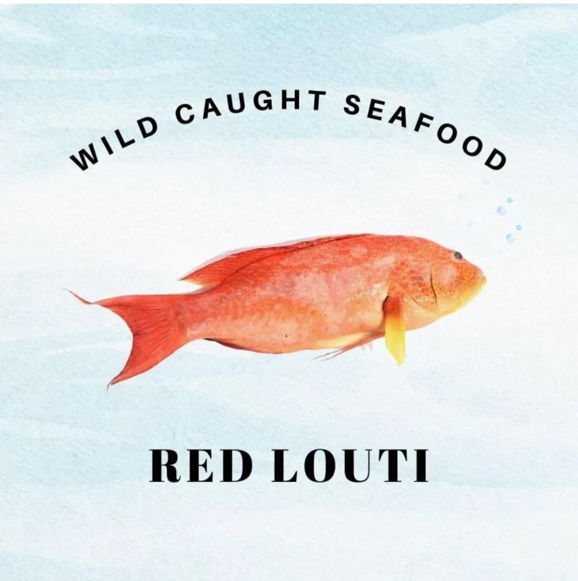 Wild Caught Sabah Red Louti Grouper 野生燕尾斑 - (620g)