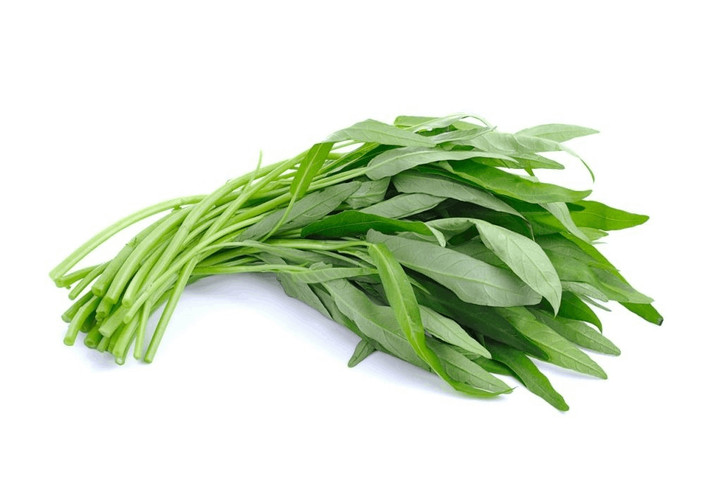 空心菜 | KANGKUNG