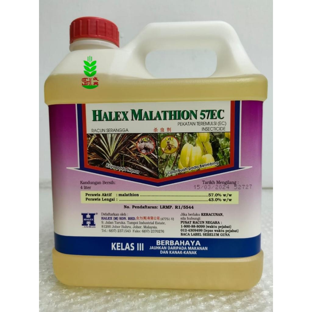 4L Halex Malathion 57EC (malaxion 57) Sesuai untuk Koya,Lalat Buah,Lalat,Lipas / Racun Serangga Busuk