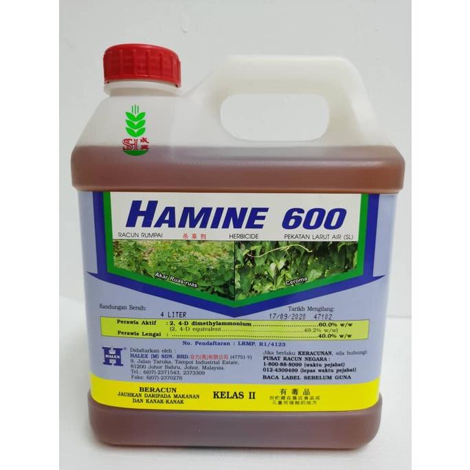 HALEX HAMINE 600 4Litter (Bahan Lebih Daripada CH AMINE 48) RACUN RUMPAI/RUMPUT amine60%