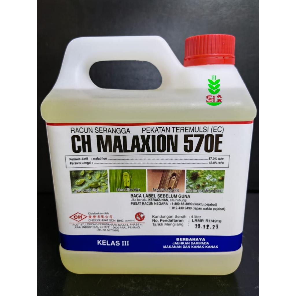 4L CH Malaxion 570E /Bena / Hama-hama / Kutu Daun / Racun Busuk / Malathion / Racun serangga yang berbau