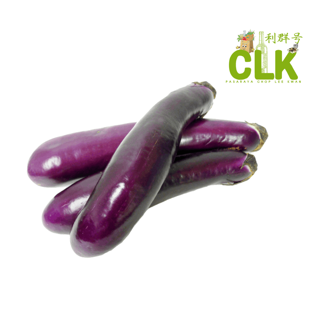 TERUNG PANJANG 茄子  - 0.5KG (80028)