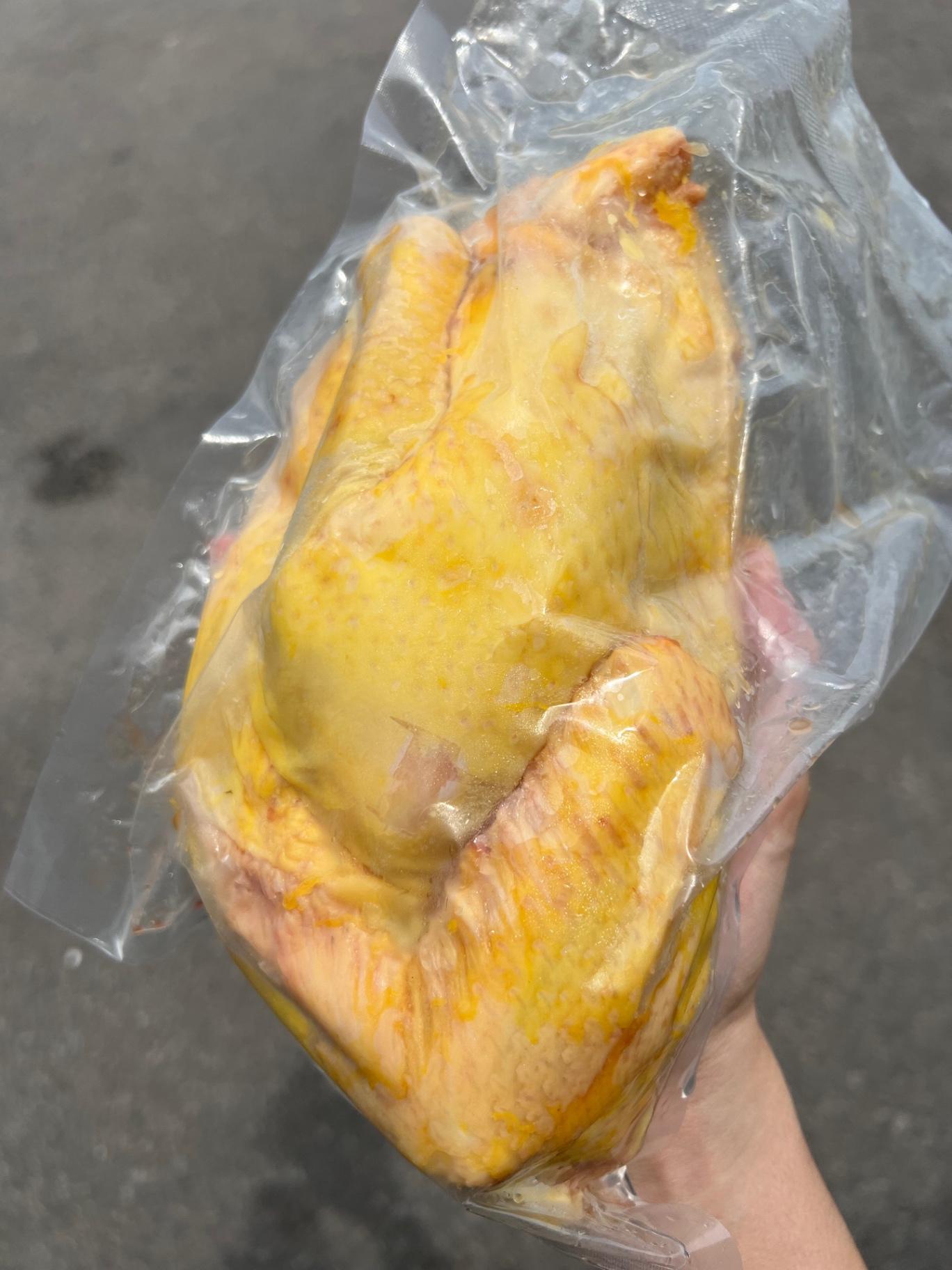黄皮菜园鸡