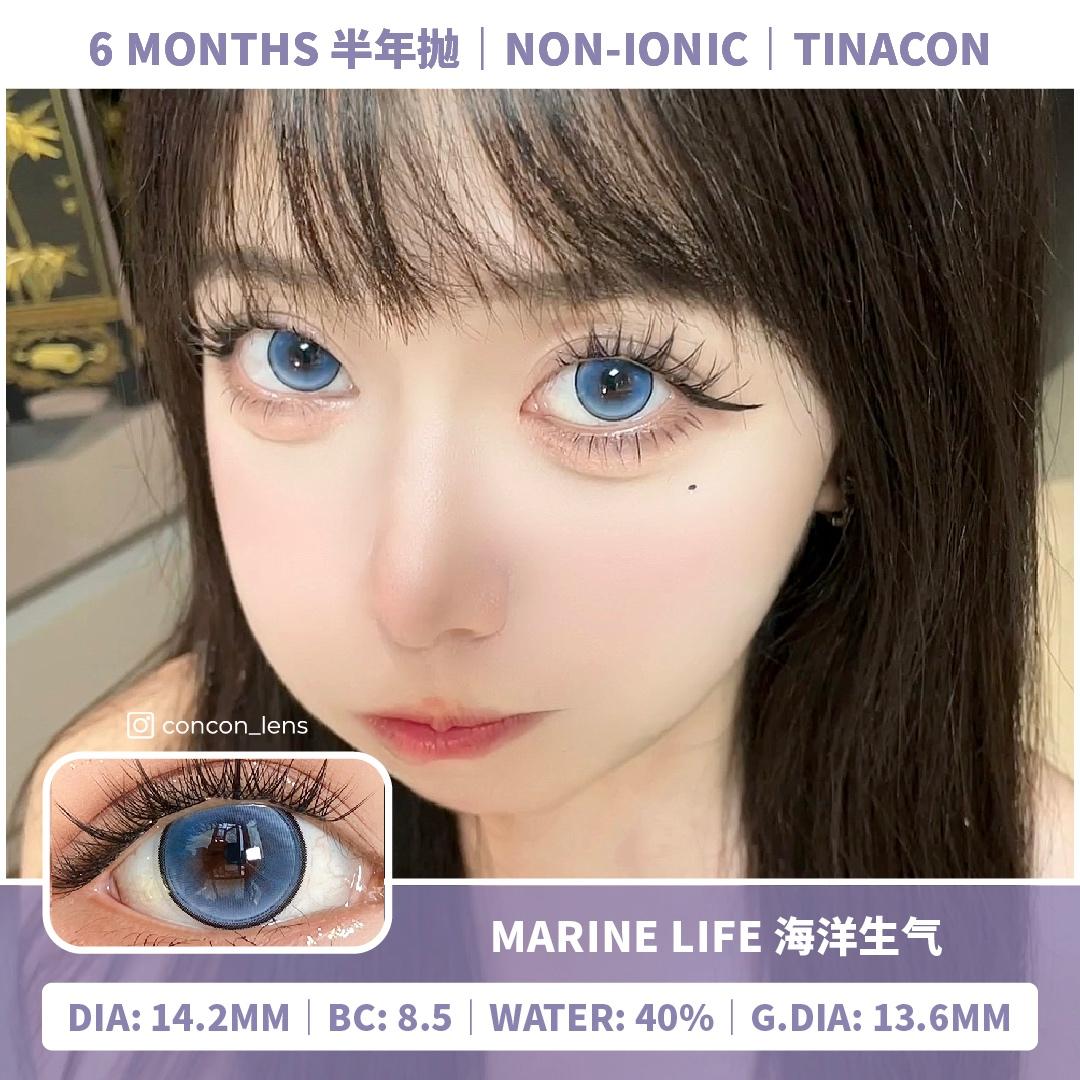 [0-800] Marine Life 海洋生气 14.2mm | T6M