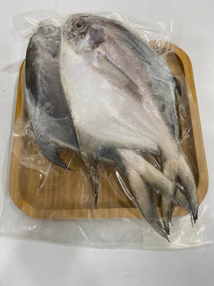 Frozen Bawal Putih 200/300g