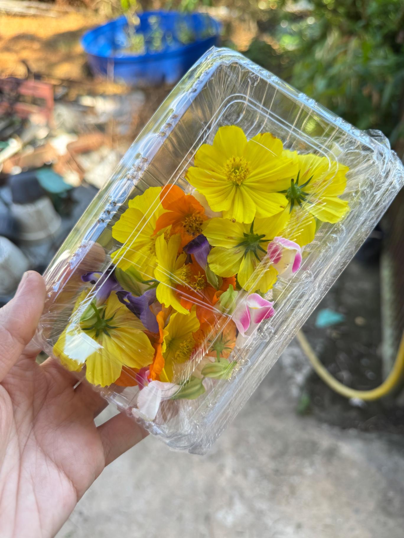 Edible Flower