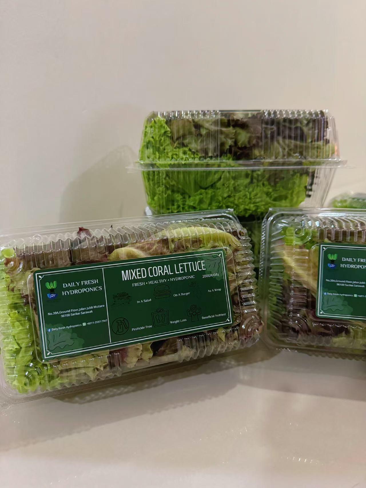 Mixed Coral Lettuce 200g± 混合珊瑚生菜