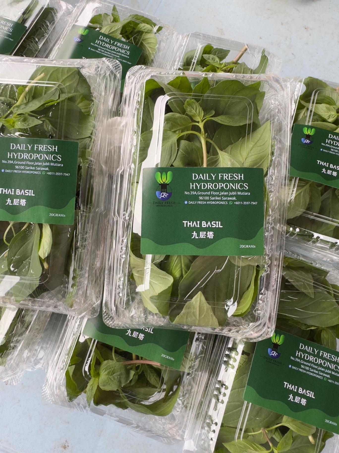 Thai Basil 九层塔