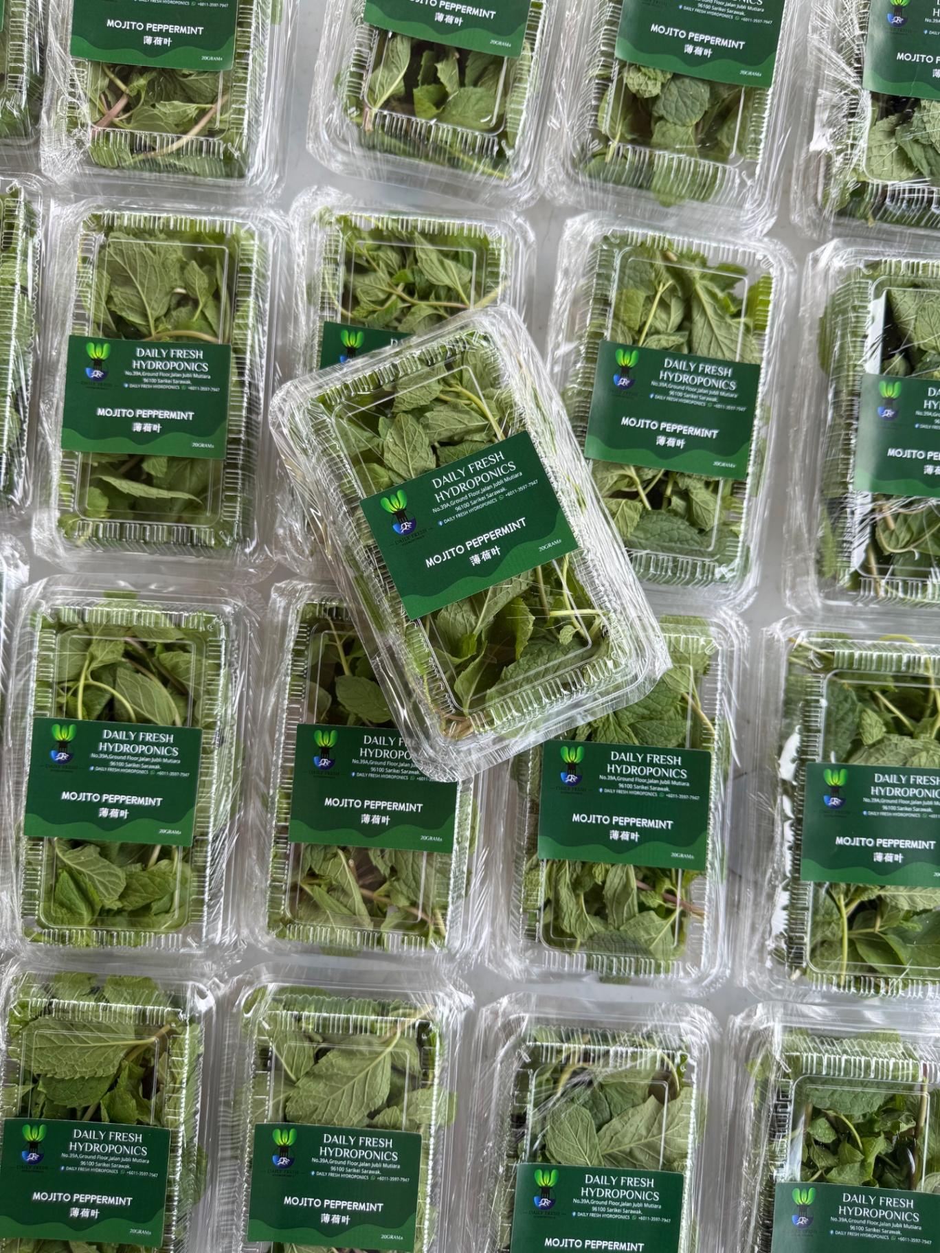 Peppermint Leaf 薄荷叶