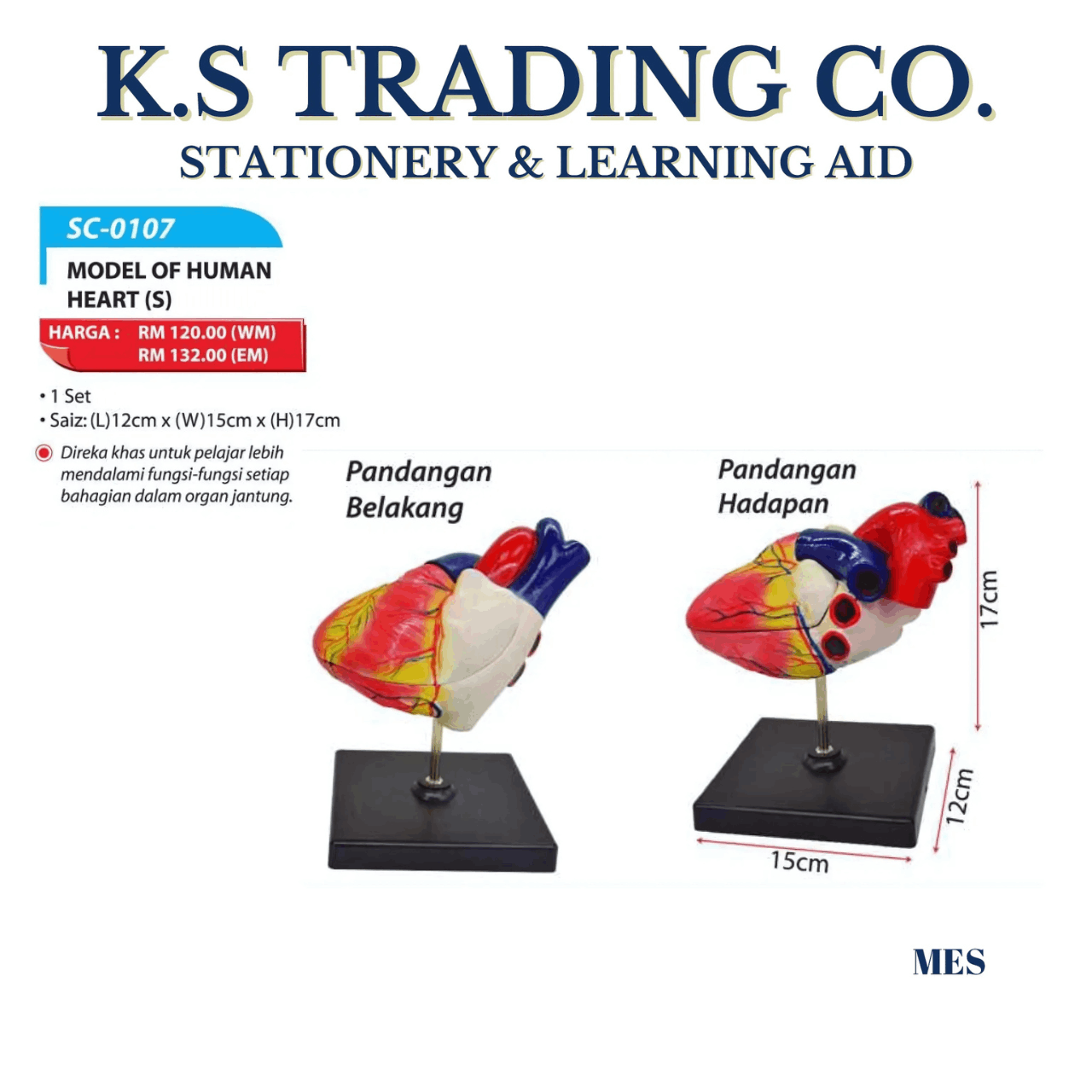 Model of Human Heart (S) [SC-0107]