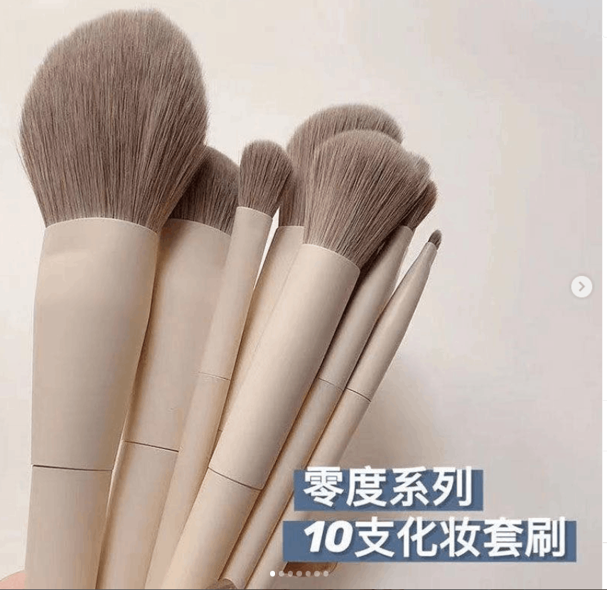 10支化妆刷套装