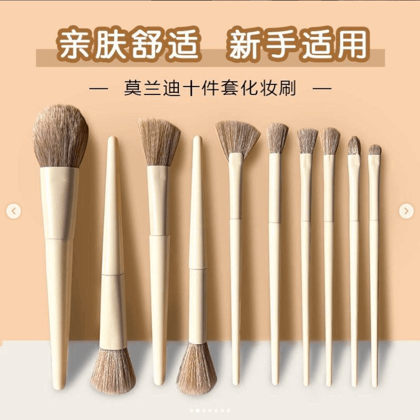 10支零度化妆套刷装