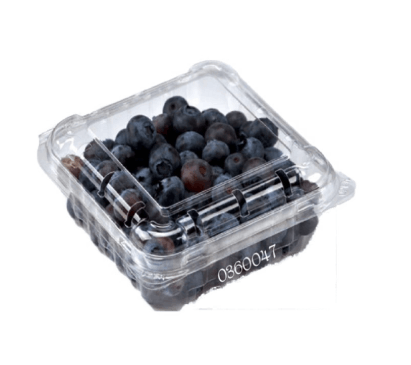 Blueberry 125g