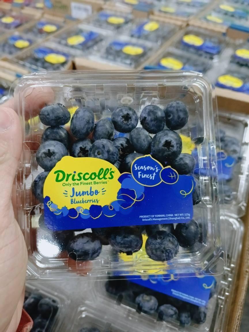 Premium Blueberry 125g