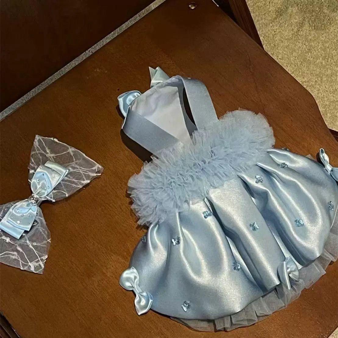 PD139 宠物 甜美 礼服 裙子 | 蓝色