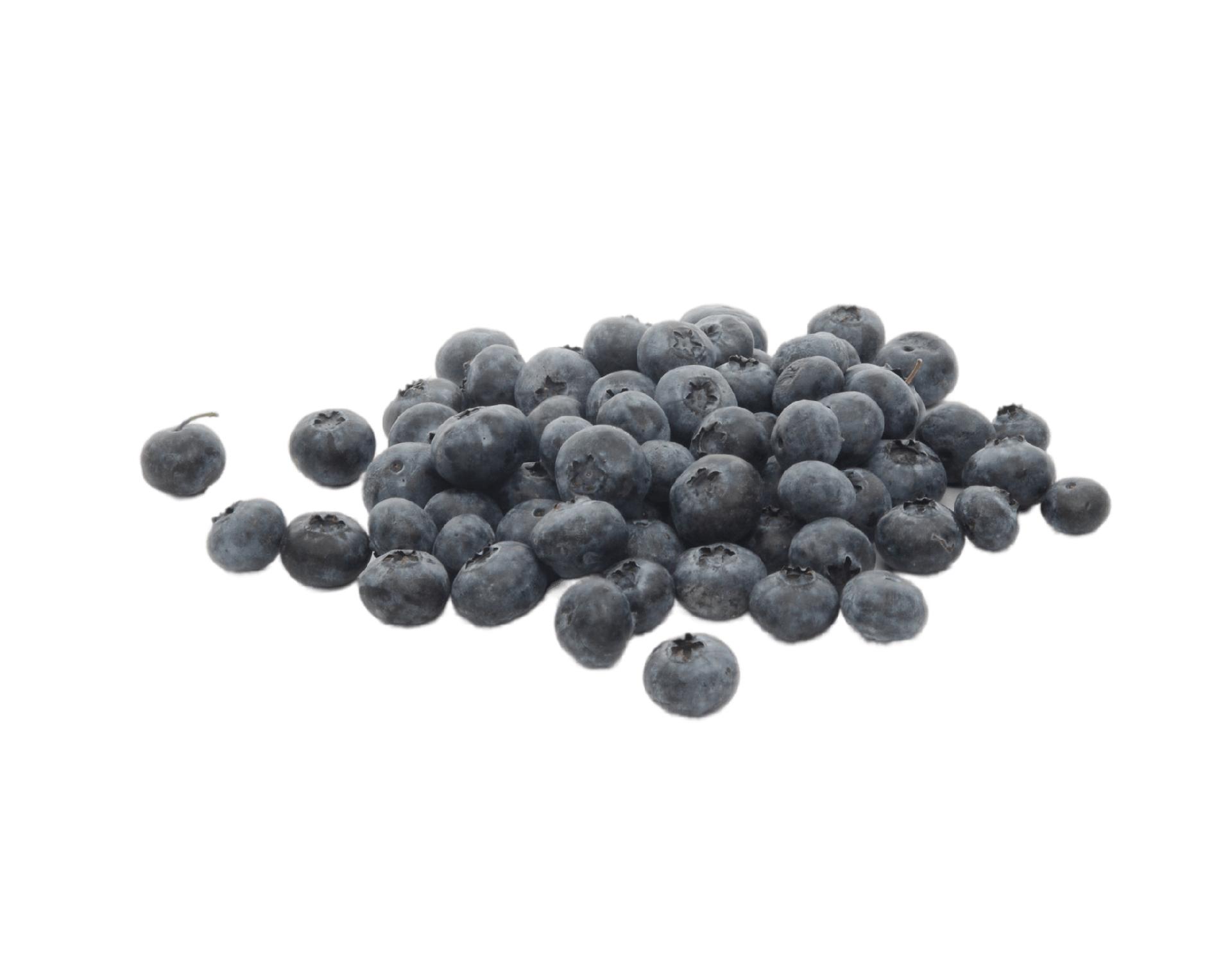 Blueberry +- 125G