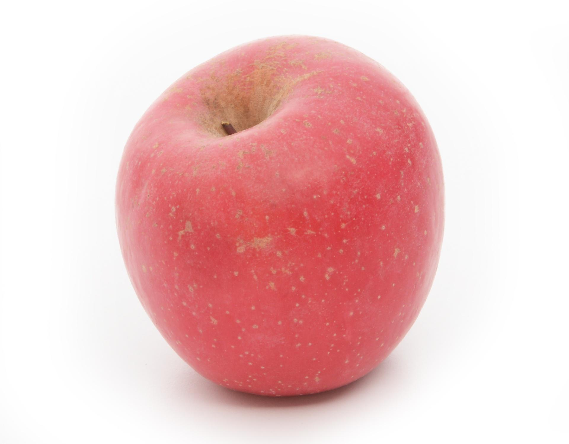 Fuji big apple 1pc