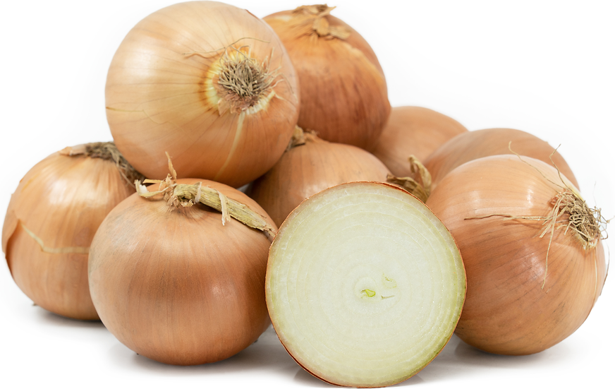 Yellow onion +-600g