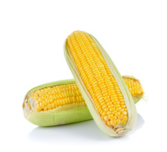 Jagung (yellow) 1pc