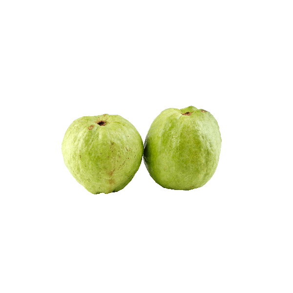 Lohan guava 1pc