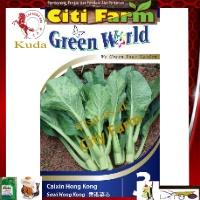 3 CAIXIN HONG KONG SAWI HONG KONG City Farm