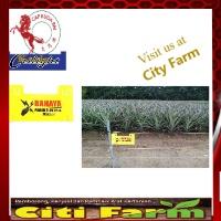 City Farm Agro Warning sign board ( English ) 1 pcsAgriculture tools/ Alat Pertanian  