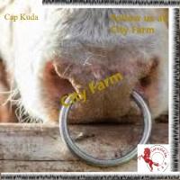 +Bull Nose Ring 100%Original~100%Quality City Farm Kuda