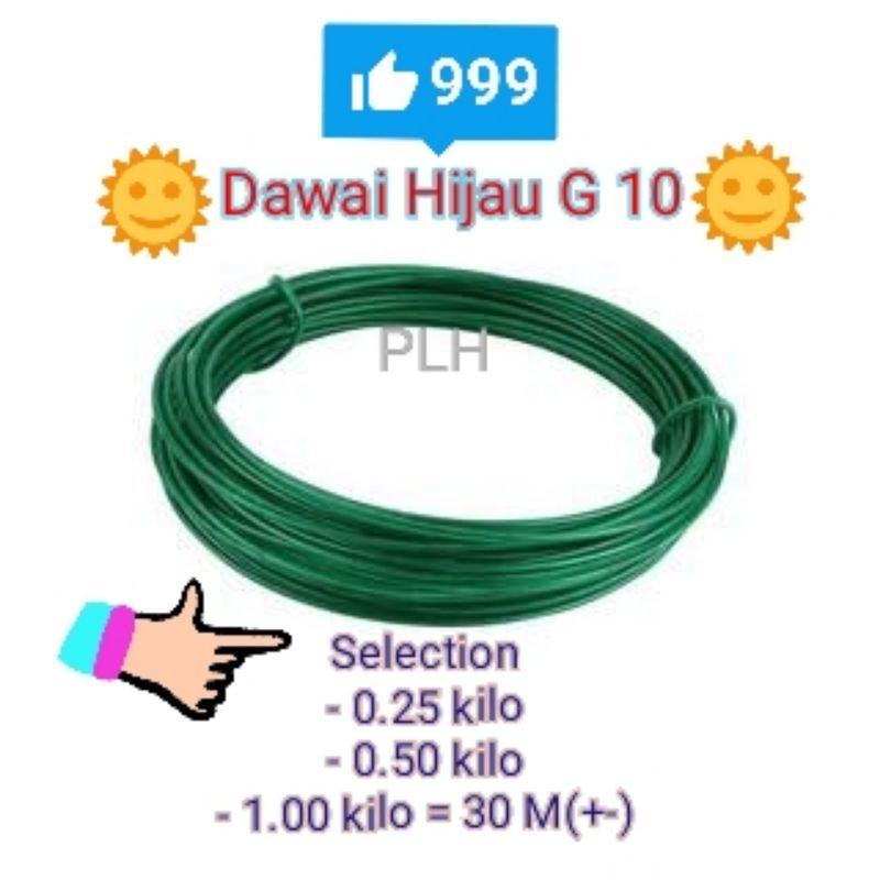 (0.25 / 0.5 /1kg)10G Green PVC Coated Wire / Dawai Hijau / Dawai Penyidai Baju NEW STOCK Agriculture tool/ Alat Pertania