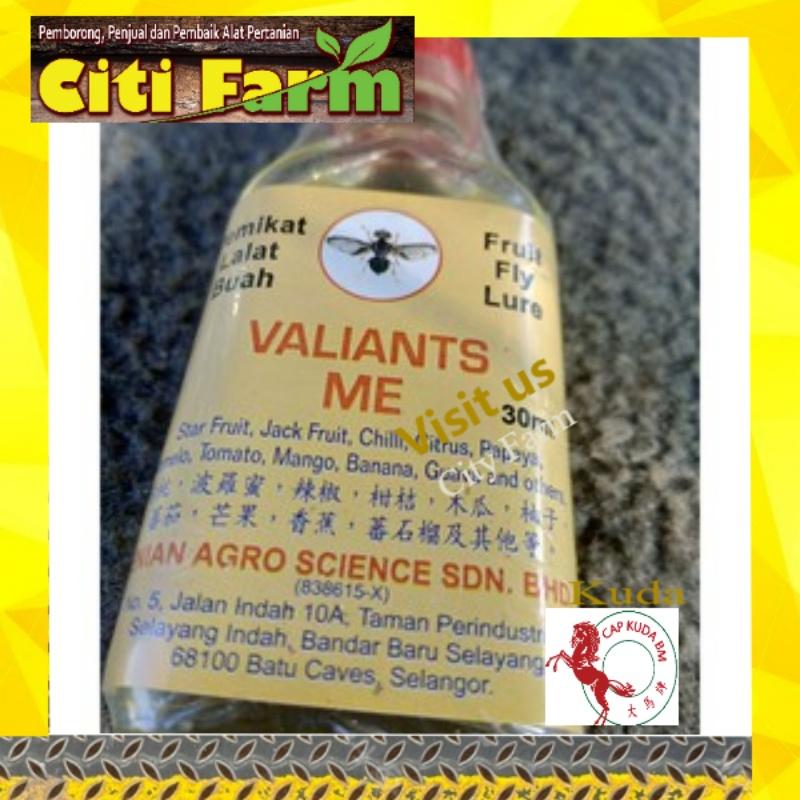Fruit Fly Attractant Lure / Perangkap Pemikat Lalat Buah 30 ML (Methyl Eugenol) Pemikat Lalat Buah Flymone UK Pheromon m