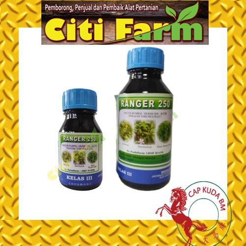 HEXTAR HERBICIDE RANGER RACUN RUMPAI 250ML / 500ML Agriculture tool/ Alat Pertanian Citi Farm Agro