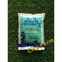 Sodium Chlorate 1kg 99% Mixture Garam Campuran / Rumput / Pokok Buluh City Farm