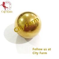 +Ball Bearing-311 for knapsprayer pam racun (Recommended to buy 2 pieces) City Farm