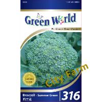 316 BROCOLI - SUMMER GREEN City Farm