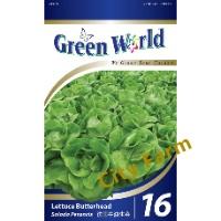 16 LETTUCE BUTTERHEAD City Farm
