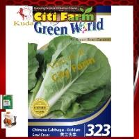 323 CHINESE CABBAGE - GOLDEN City Farm