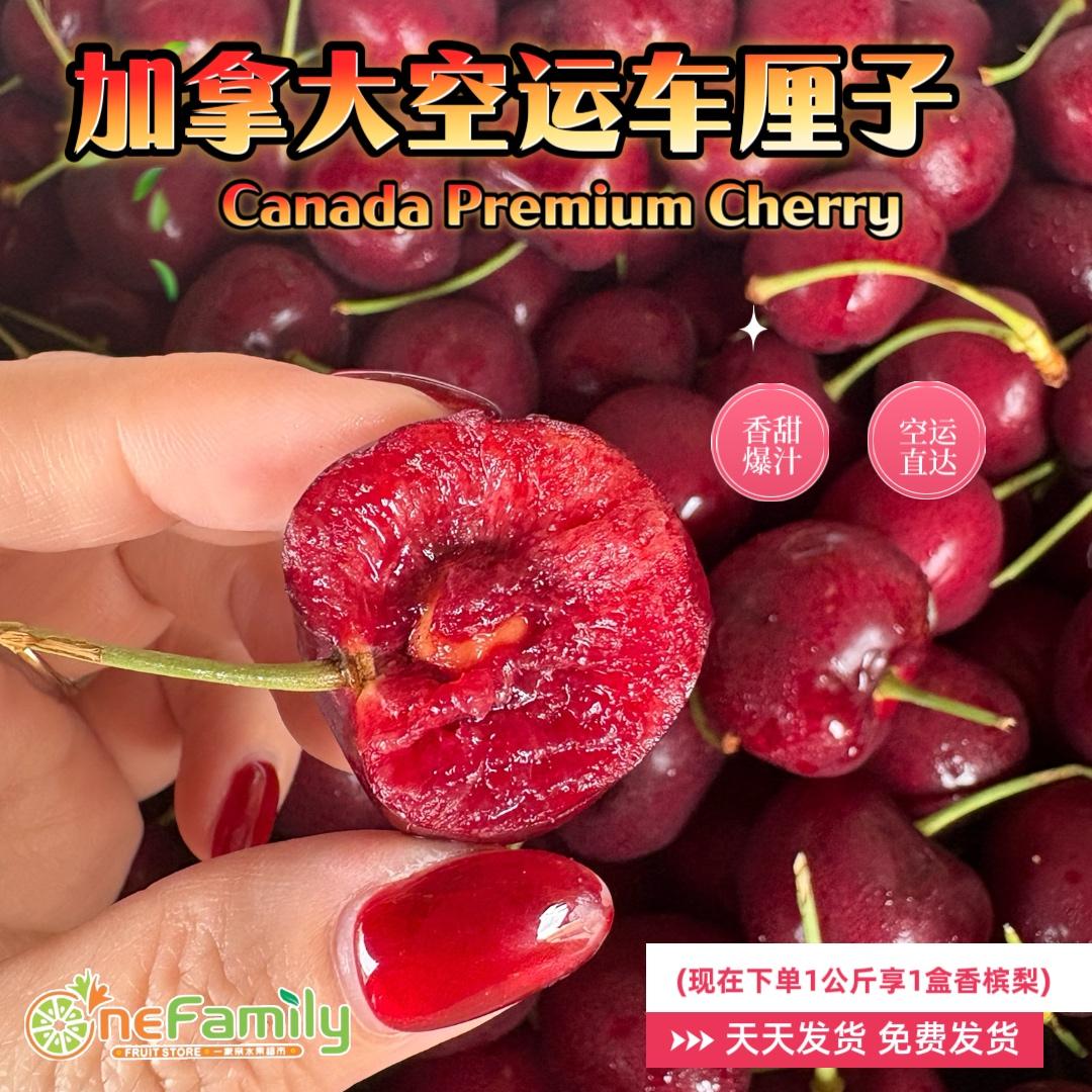 Canada Premium Cherry 加拿大进口车厘子