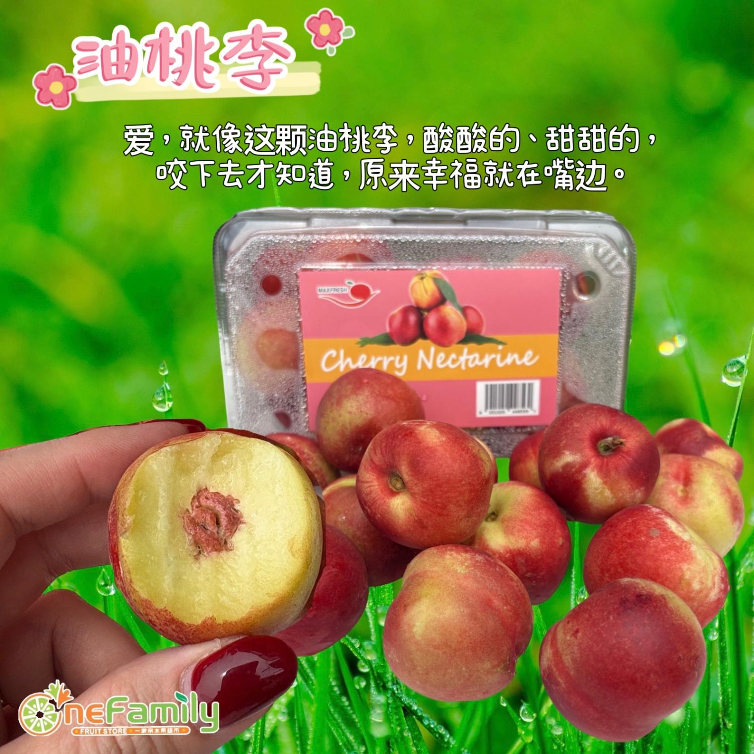 中国油桃李子 China Cherry Nectarines