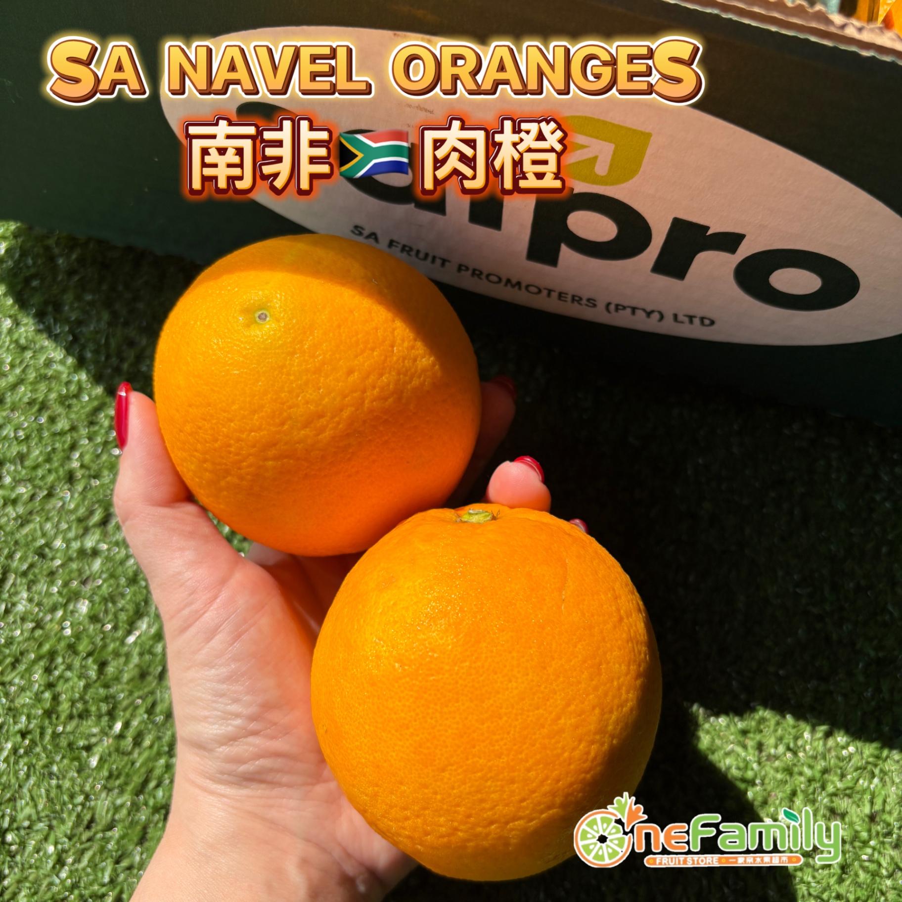 南非🇿🇦特选肉橙 🍊SA Navel Oranges