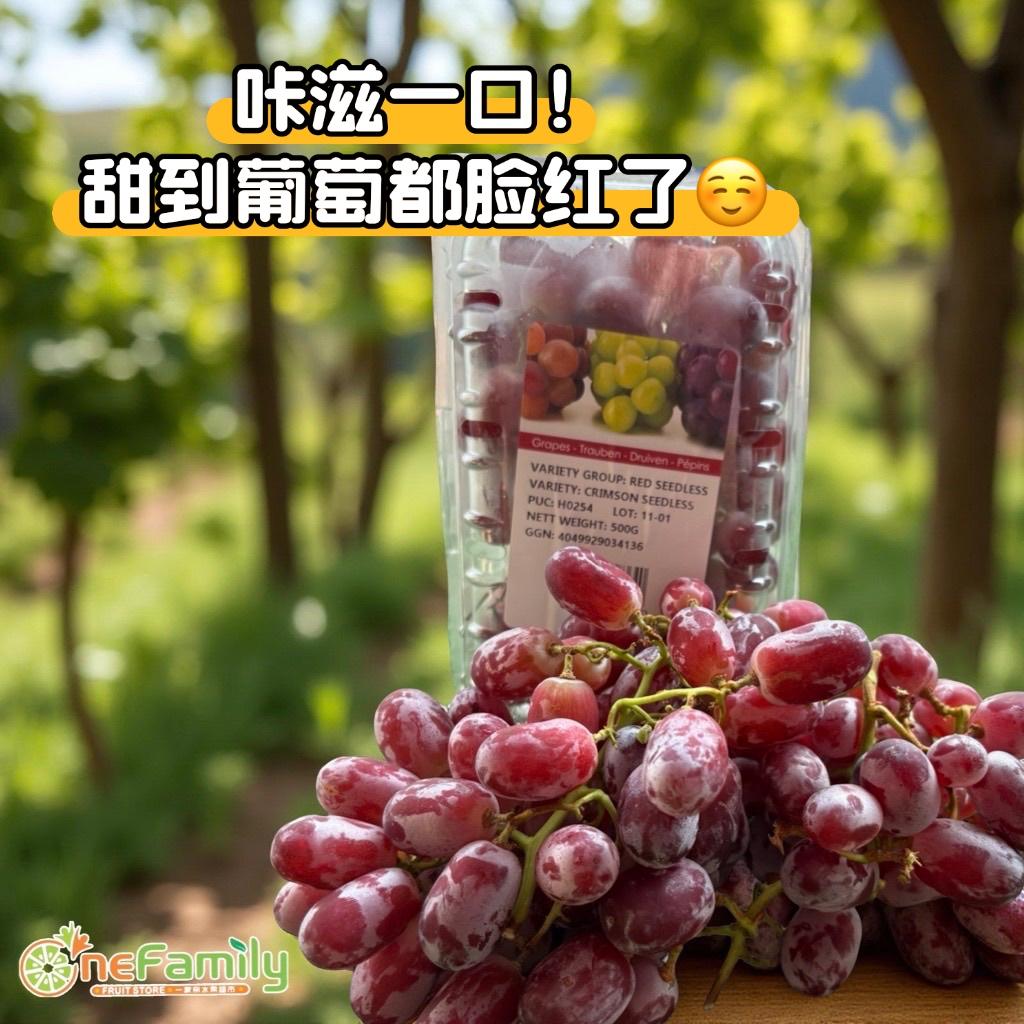 埃及🇪🇬无籽红葡萄🍇 Egypt Crimson Seedless Grapes