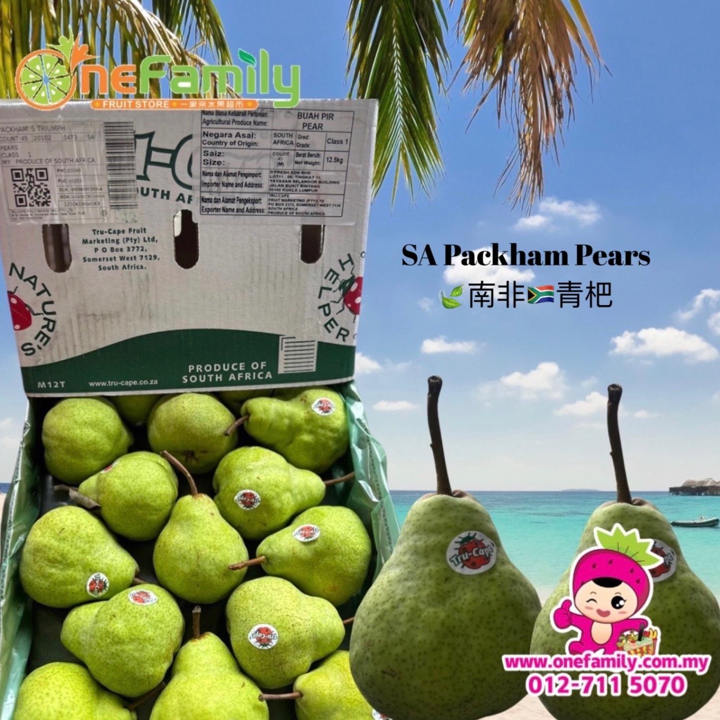 南非🇿🇦特选青杷 SA Packham Pears