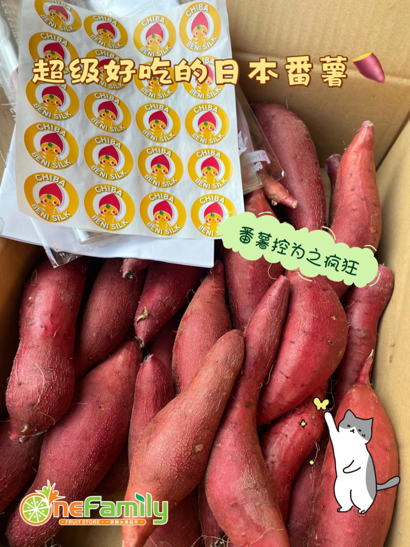 日本🇯🇵茨城県红春香红薯 Japan Beni Haruka Potato
