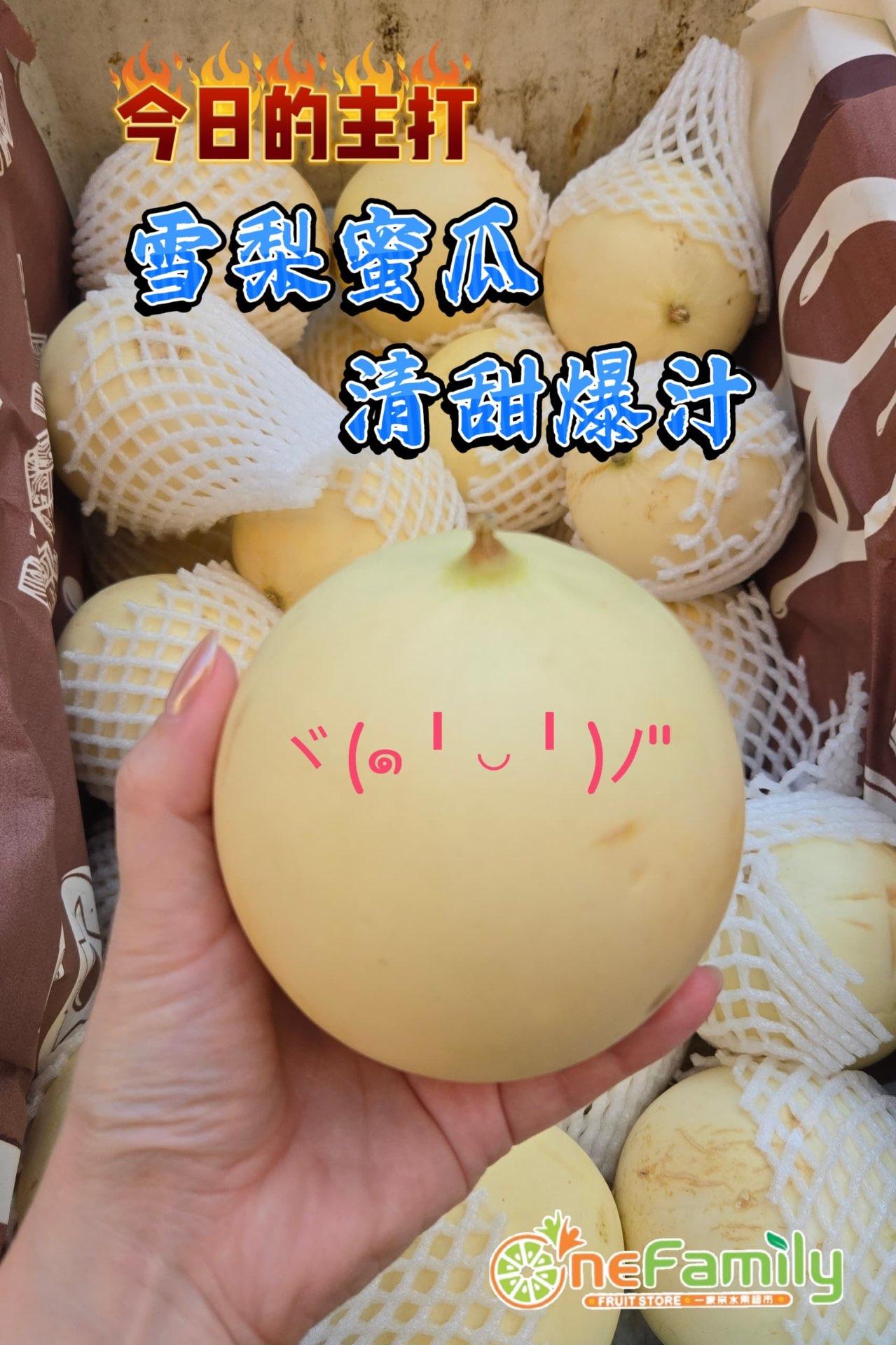 泰国🇹🇭迷你小雪梨瓜 Thailand Snow Pear Melon