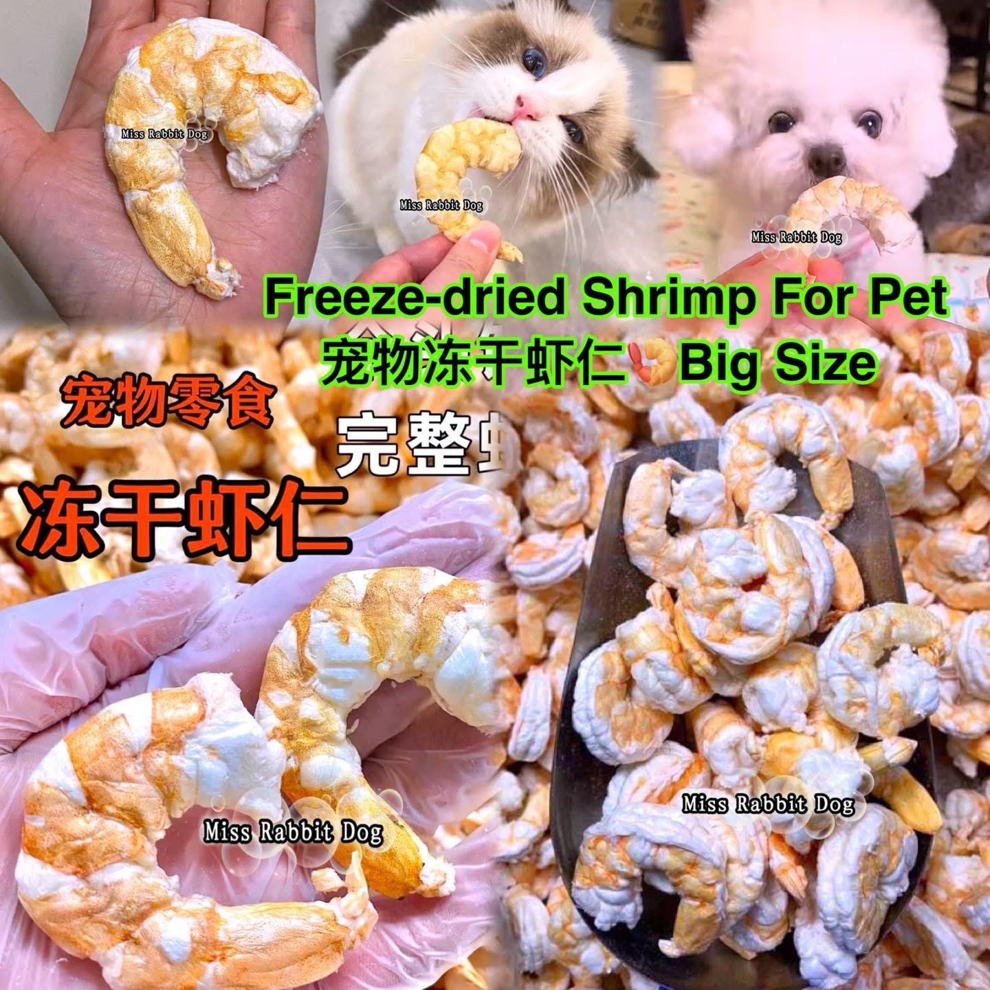 🍤 Freeze- dried Shrimp Big Big Size 冻干虾仁🍤超大号