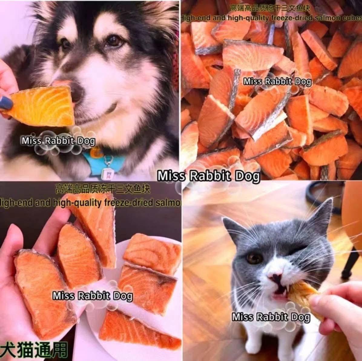 🍣 冻干高端三文鱼 Freeze- Dried High-End Salmon