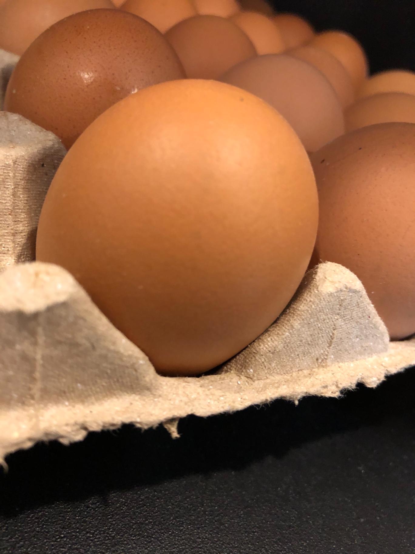 Egg grade B x 30pcs