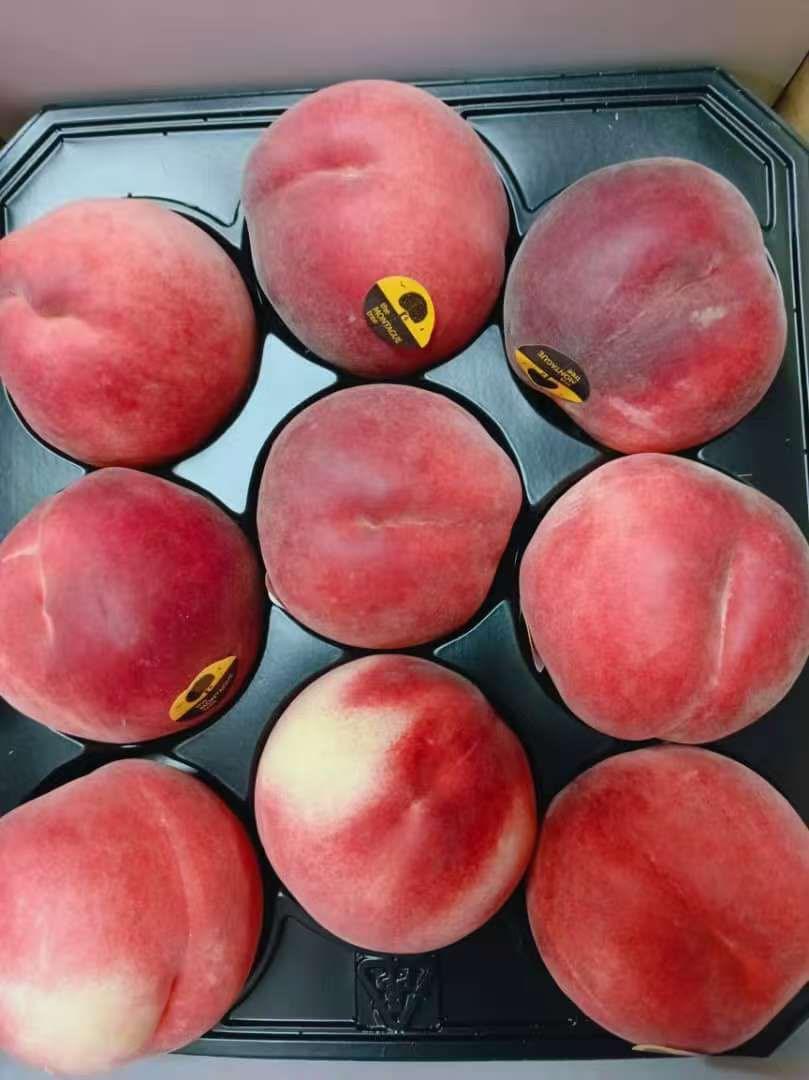 澳洲白桃