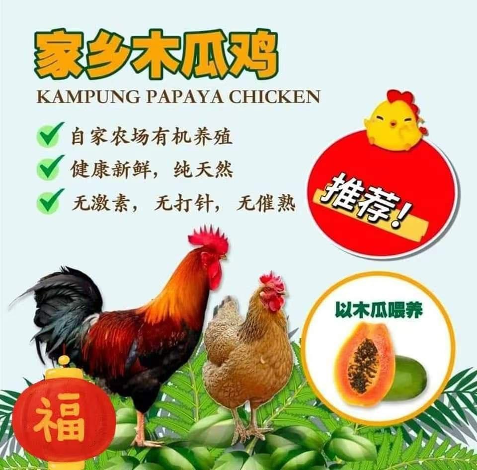 家乡木瓜鸡
