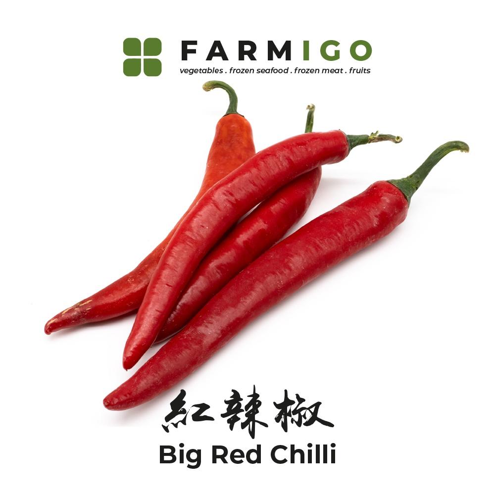 Big Red Chili / Cili Merah Besar 红辣椒