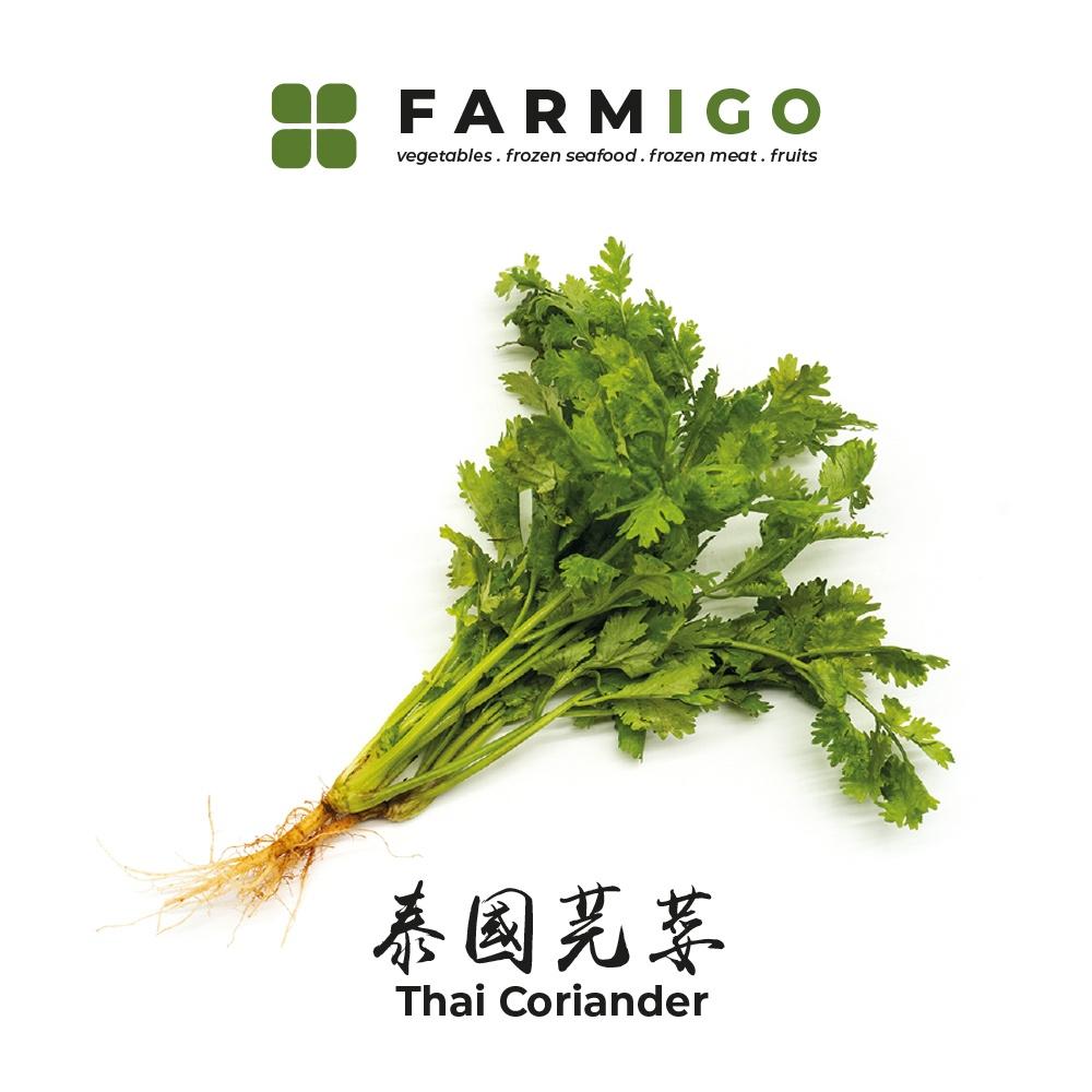 Thai Coriander 芫茜（泰国）