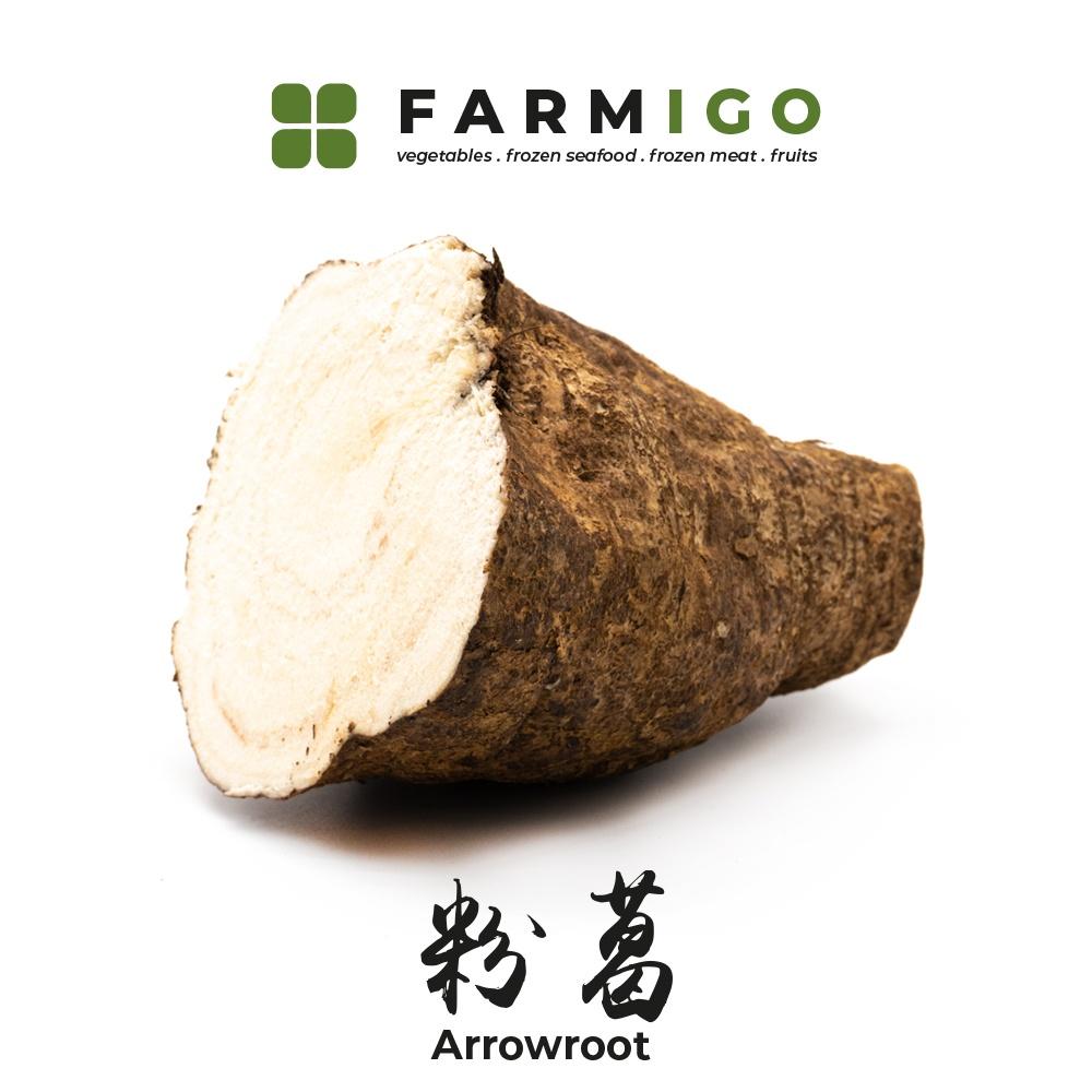Arrowroot 粉葛